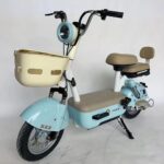 48V Adult Electric Bicycle Steel Frame Lithium Battery E Bike