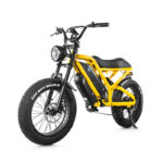 MZ 12 48V 20 Inch Fat Tire Hybrid Electric City Bike for Adults