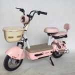 48V Adult Electric Bicycle Steel Frame Lithium Battery E Bike - Image 4