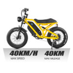 MZ 12 48V 20 Inch Fat Tire Hybrid Electric City Bike for Adults - Image 3